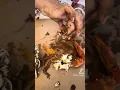 How to eat steamed crabs