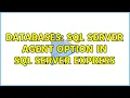 Databases SQL Server agent option in SQL Server Express 2 Solutions