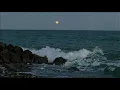 TARUH - Nadin Amizah | Lyrics 🎶