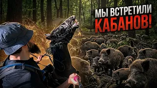 1 ДЕНЬ В ДИКОМ ЛЕСУ НА ЛОШАДИ