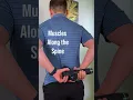 Self Massage Gun Techniques For Low Back Pain
