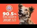 El Paso Animal Services Pawcast - February 2020