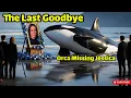 Download Lagu Orca Missing Jessica |  |Orca Atta,,ck Dolphin Jessica|Goodbye Jessica | Rip