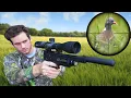 Download Lagu Hunting with Suppressed .22 Pellet Pistol