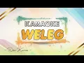 Download Lagu Weleg - Dini Kurnia || KARAOKE || Sing kiro ono weleg || DANGDUT TERBARU