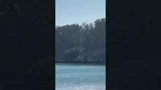 Looking pretty all on her own😘 #ourladydefiant #sailboating #sailboat #boat #sailing