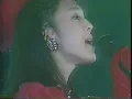 WINK - 淋しい熱帯魚