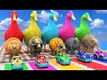 Download Lagu Long Slide Game With Cow Elephant Gorilla Hippopotamus Tiger - 3d Animal Game - Funny 3d Animals