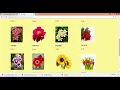 flower shop Management System-CampusUK