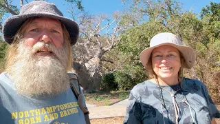 Ep 301 | The Mermaid Boab and Rainforest Ravine, Kimberley, Sailing Nutshell