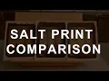 Download Lagu Salt Print Comparison + Hybrid Pigment Ink Print - Pictorial Whispers, Plate No. 1