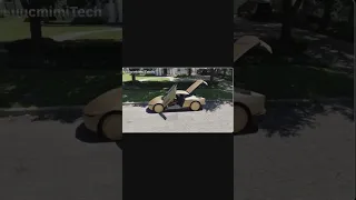                             دندنها