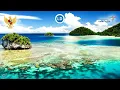 Download Lagu MANUK DADALI - LAGU DAERAH JAWA BARAT (Karaoke, Lirik \u0026 Terjemahnya)