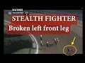 Last race of STEALTH FIGHTER Oaklawn 3 4 22