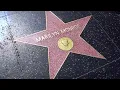 Download Lagu Movie Star - The First Dutch Bananas  Remix DJ Dutch Bird
