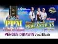 Lagu PENGEN DIKAWIN VOC. ELIZAH | PUTRA PA'I MUDA | NADRAN PERCANTILAN POJOK TIKUNGAN | 14 DES 2025