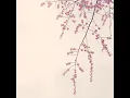 sakura - Gallery Six