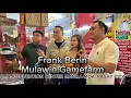 Frank Berlin - Mulawin Gamefarm 2026 Philippine breeders festival Reggie Boi