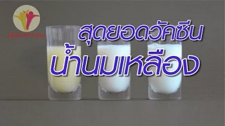  น้ำนมเหลืองที่แม่ผลิตหลังคลอดมีประโยชน์อย่างไรบ้าง 