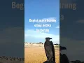 Download Lagu Suara burung elang, awas kaget !!! #burung #burungelang #elangjawa #shorts