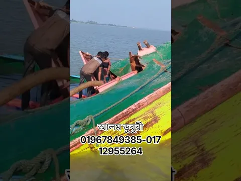 ডুবুরি