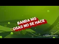 BANDA MS "LAS COSAS NOSE HACEN ASÍ" BELLA CANCION