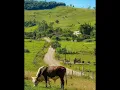 No Rancho fundo_ Chitãozinho e Xororó #music #nostalgia #shortsviral #nostalgix # Sertanejo