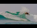 Download Lagu Mason Ho Surfing Mexico With BABY BEAR