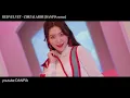 레드벨벳 짐살라빔 리믹스 Red Velvet - Zimzalabim [DANPIA remix]