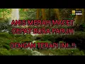 Download Lagu TERAPI Burung Anis Merah MACET Cepat Buka Paruh.