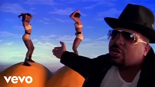 sir mix a lot baby got back official music video 