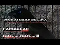 Download Lagu murai irian betina memanggil jantan