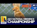 2026 AKC National Obedience Championship Ring 8 Day 2