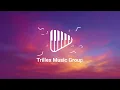 Zara Larsson - Midnight Sun (Lyrics)