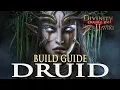 Divinity Original Sin 2 Builds - Druid