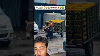 يعمل في السوق لأكتر من عقدين عمل حمار سوق توصيل تجارة خضروات 