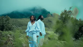 inkabi ne nkabikazi ft diary u0026 skillz syazsiyizoni official music video 