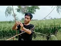 Download Lagu 🤯SUARA PIKAT EMPRITnya jitu, blum satu mnit burung lengket fart  2