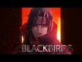 Download Lagu Blackbirds - Linkin Park