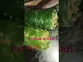 Download Lagu || Patrode ki Sbzi || #villagelife #villagefood #food #kitchen #desifood #desi #recipe