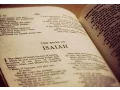 Isaiah 24 Read Along