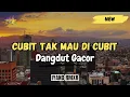 Download Lagu Dangdut Enak _ CUBIT TAK MAU DI CUBIT || IYAND RMXR _ New 2025🔥