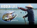 Freshwater Pearls Journey from Farm to Market