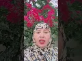 Download Lagu Apne man baap ka tu Dil Na dukha#Islamic video#YouTube shorts#vasina short clips 🤲🤲🤲