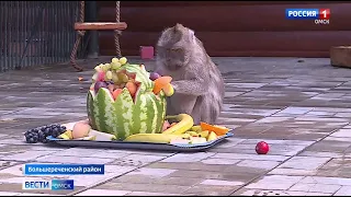 Большереченский зоопарк отметил свое 35-летие