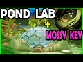 Pond Lab and Mossy Key Walk Through Grounded 1 0