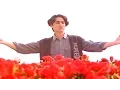 Lagu Vaalu Kannuladaana Video Song || Premikula Roju Movie || Kunal, Sonali Bendre || A.R.Rahman