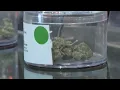 Dispensary owners react to executive order reclassifying marijuana