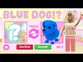 Trade for a BLUE DOG in Adopt Me