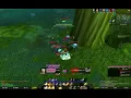 Turtle WoW Protection Paladin AoE grinding